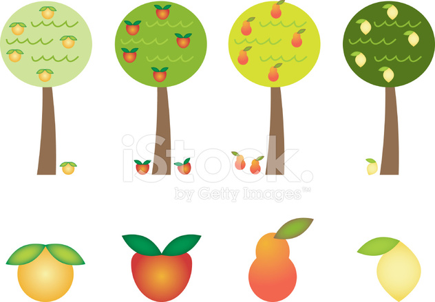 632x439 Fruit Tree Icons Stock Vector
