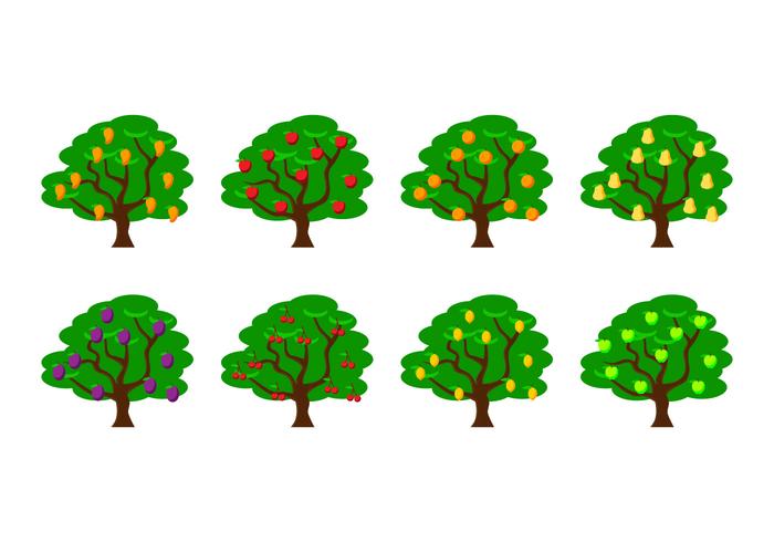 700x490 Fruit Tree Vector Illustration