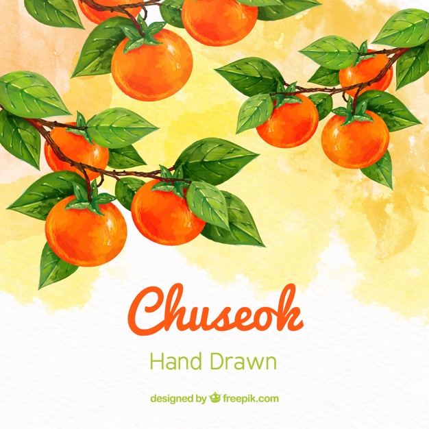 626x626 Fruit Tree Vectors, Photos And Psd Files Free Download