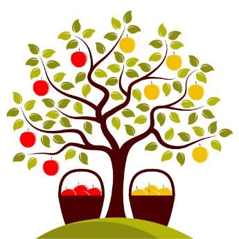 345x345 Multi Grafted Fruit Trees From Stark Bros. Are A Great Way To Add