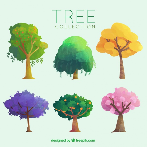 626x626 Pack Of Different Trees With Fruits Vector Free Download