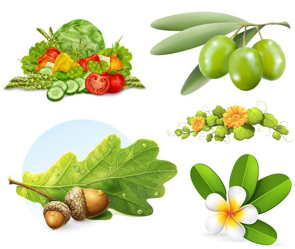 600x507 Vector Diagram Of Vegetable And Fruit Tree [Eps]