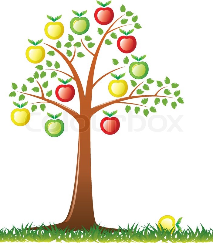 702x800 Vector Apple Tree With Fruits Stock Vector Colourbox