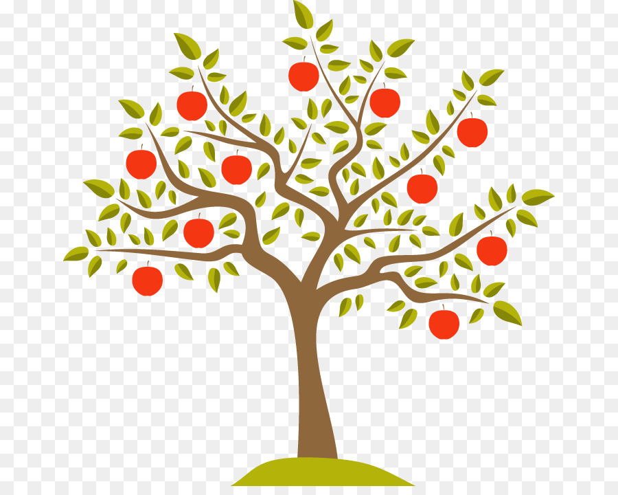 900x720 Vector Graphics Apple Illustration Drawing Fruit Tree