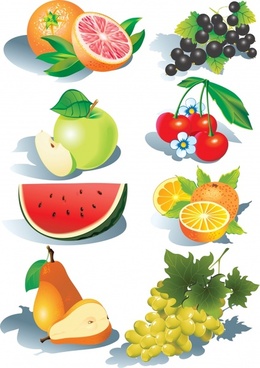 260x368 Fruit Outline Free Vector Download (7,436 Free Vector) For