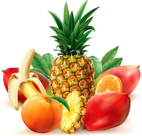 600x575 Juicy Tropical Fruit Vector Free Download
