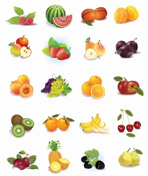 585x697 Set Of Fruits Vector Graphics Free Vector Graphics All Free
