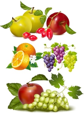 273x368 Fruit Free Vector Download (2,254 Free Vector) For Commercial Use