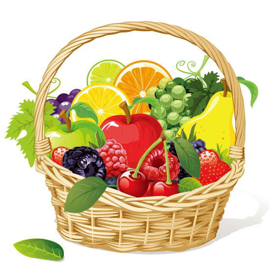 561x563 Fruit Vector 2 Vector Sources