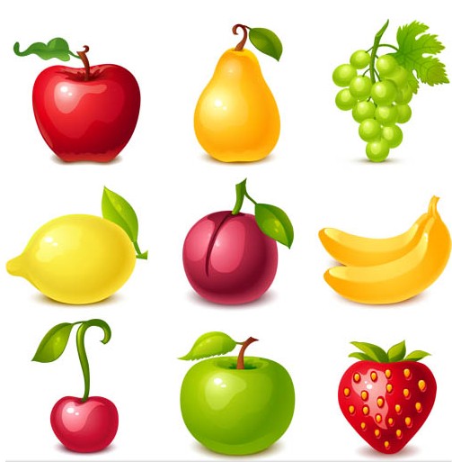 503x513 Fruits Free Vector Ai Format Free Vector Download