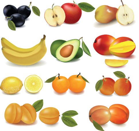 484x459 Various Fresh Fruit Design Elements Vector 03 Free Download