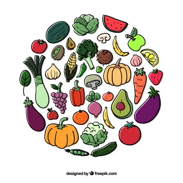 626x626 Circle Of Fruits And Vegetables Vector Free Download