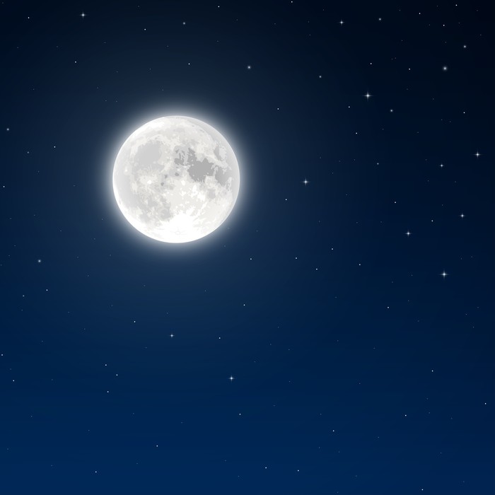 700x700 Full Moon Vector Poster We Live To Change