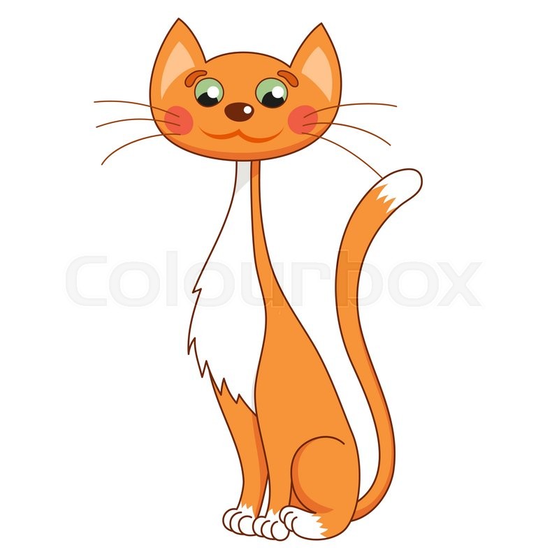 800x800 Cartoon Lean Kitty, Vector Illustration Of Funny Cute Thin Red Cat