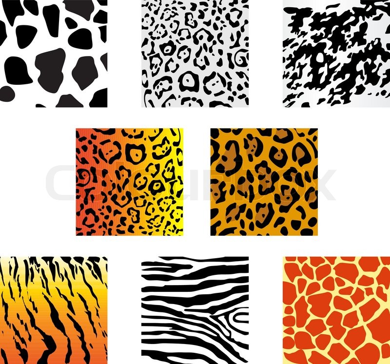 800x747 Set Of Animal Fur And Skin Patterns For Design Stock Vector