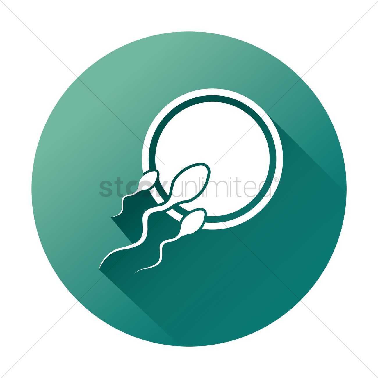 1300x1300 Sperm Egg Fusion Vector Image