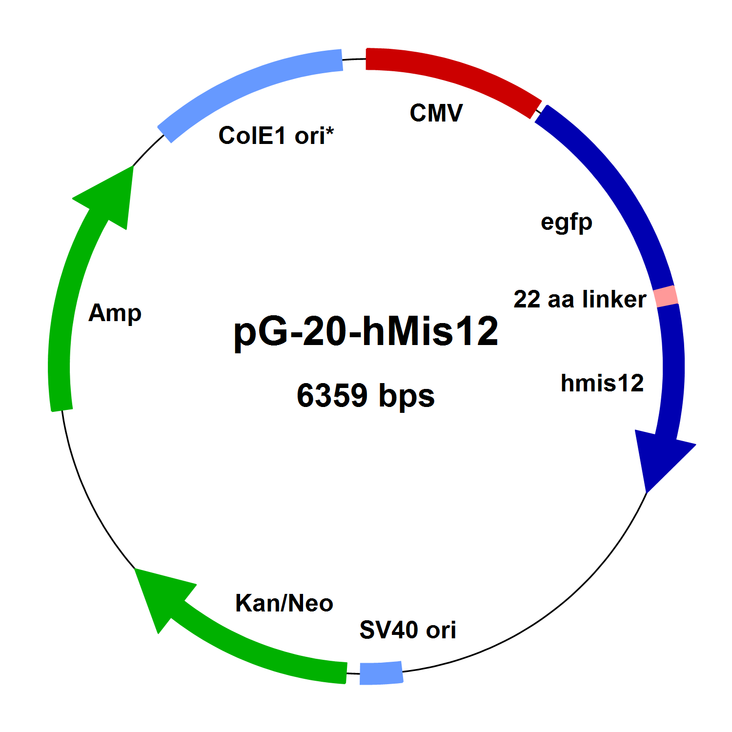 1500x1500 Vectors For Expression Of Human Mis12 Complex Fusion Proteins From