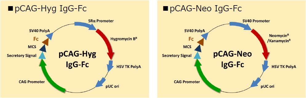 994x320 Fc Fusion Vectors Wako Information
