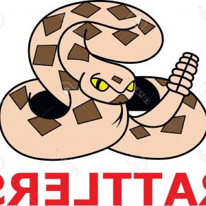 300x300 Vector Map Usa Rattlesnake Gadsden Flag Lazttweet