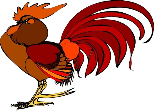 511x368 Gallo Vector Free Vector Download (2 Free Vector) For Commercial