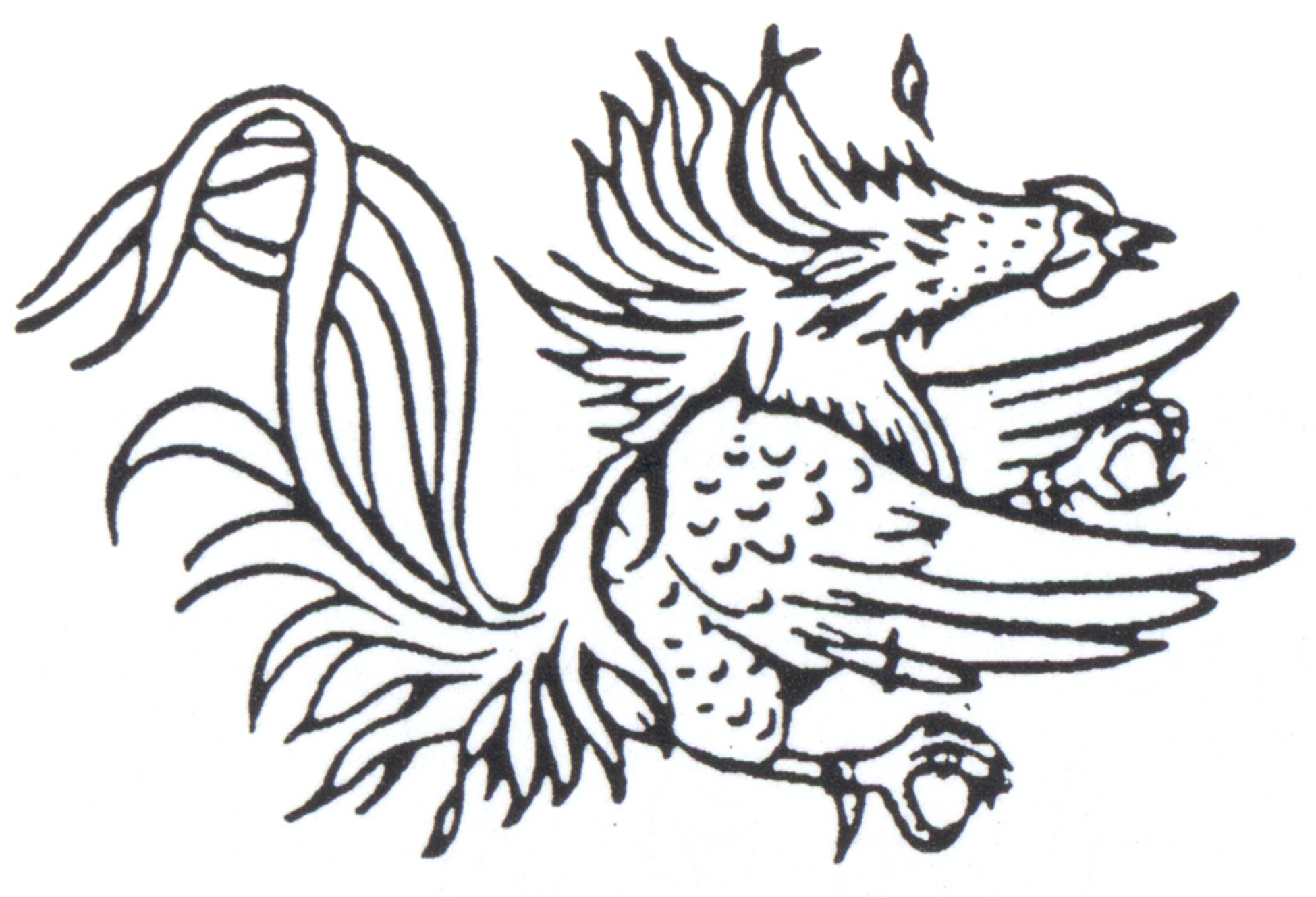 Printable Gamecock Logo - vrogue.co