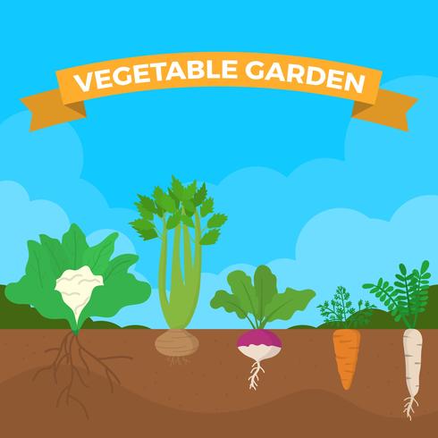 490x490 Flat Vegetable Garden Vector Illustration