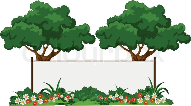 800x446 Vector Illustration Of Beautiful Garden And Various Plants With