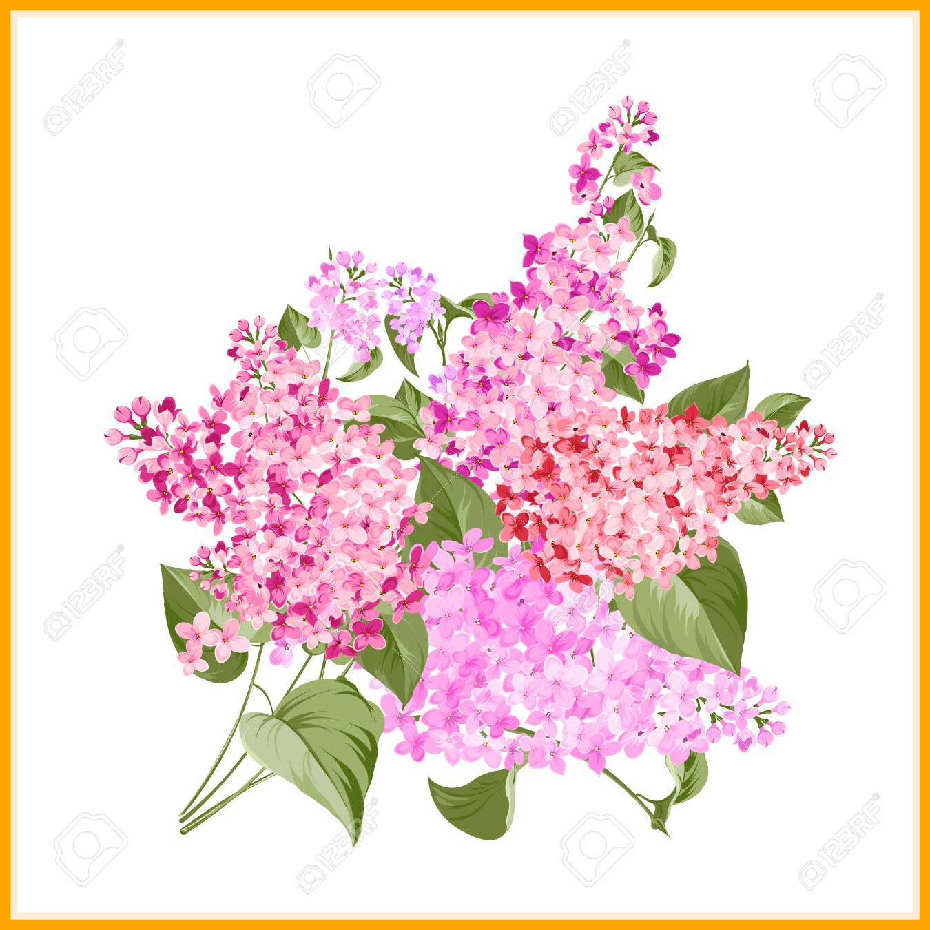 1350x1350 Marvelous Spring Bouquet Of Color Bud Garland Vector Illustration