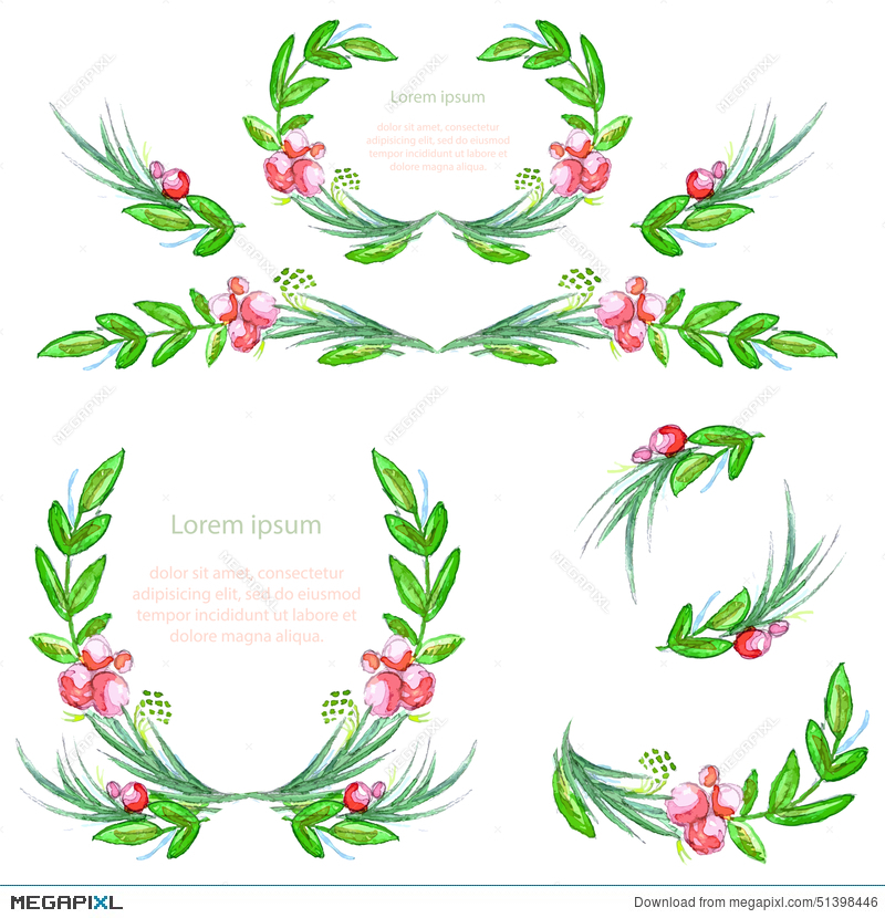 800x830 Watercolor Floral Design Elements With Leaves And Berries. Brushes