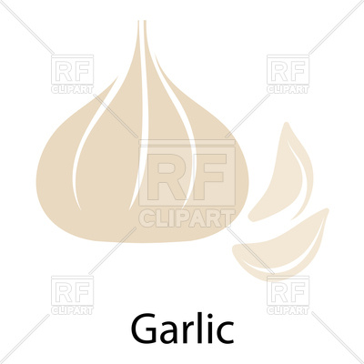 400x400 Garlic Vector Image Vector Artwork Of Plants And Animals