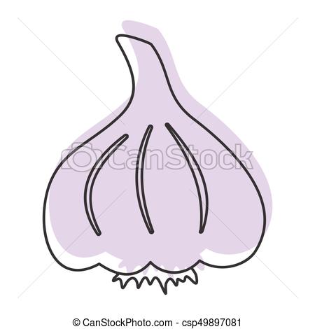 450x470 Garlic Doodle Icon Vector Illustration For Design And Web Isolated