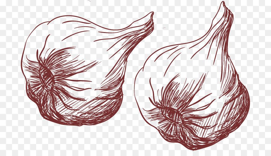 900x520 Bouillabaisse Drawing Garlic