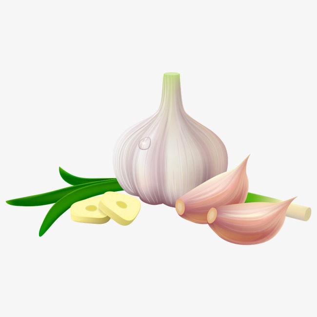 650x650 Vector Garlic, Vector Garlic Cartoon, Garlic, Cartoon Garlic Png