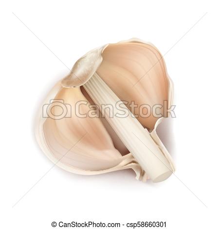 450x470 Vector Realistic Half Head Of Garlic. Vector 3d Realistic