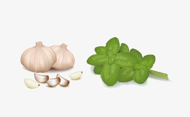 650x400 Garlic, Vector Garlic Png And Vector For Free Download