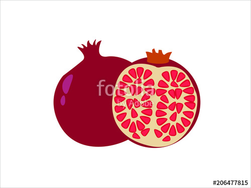 500x375 Garnet Vector Illustration On White Background. Stock Image And