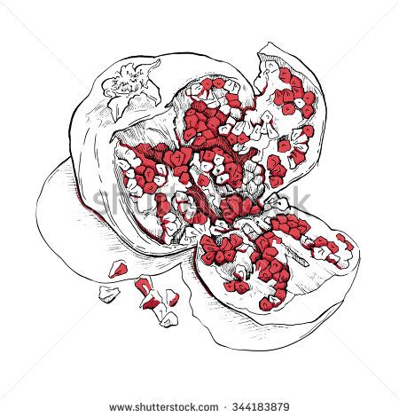 450x470 Hand Made Vector Sketch Of Garnet. Sketch Of Garnet. Vector