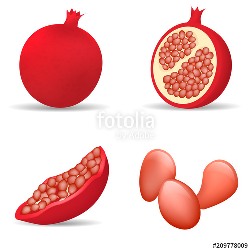 500x500 Pomegranate Juice Seeds Garnet Icons Set. Realidtic Illustration