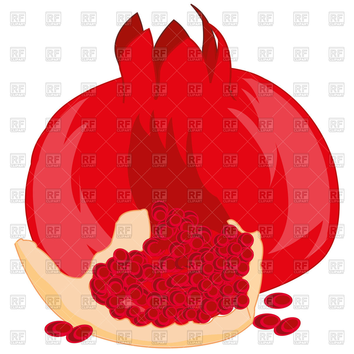 1200x1200 Ripe Fruit Garnet On White Background Is Insulated Vector Image