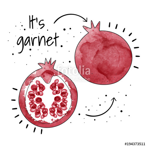 500x500 Watercolor Garnet. Vector Illustration Stock Image And Royalty