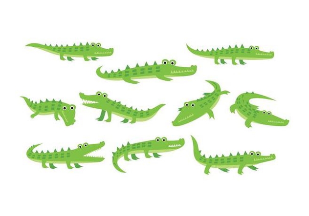 632x443 Free Gator Vector Free Vector Download 408735 Cannypic