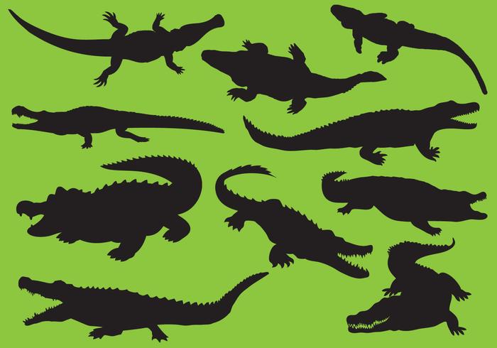 700x490 Gator Silhouettes