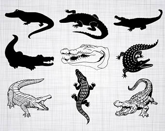 340x270 Alligator Clipart Etsy