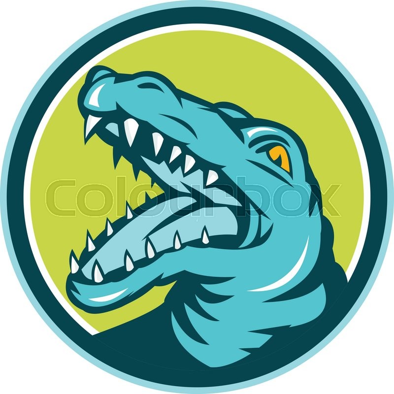 800x800 Illustration Of An Angry Alligator Crocodile Head Snout Snapping