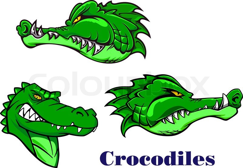 800x554 Cartoon Scary, Carnivore And Aggressive Crocodile Or Alligator