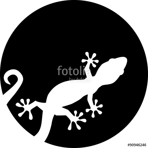 500x500 Gecko Silhouette In Front Of Moon Stock Image And Royalty Free