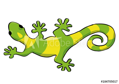 500x354 Lizard Gecko. Vector Illustration