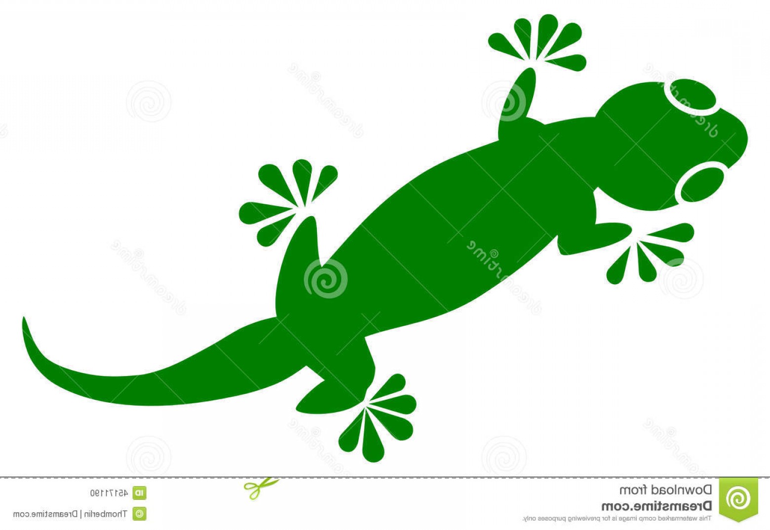 1560x1074 Stock Illustration Gecko Vector Geckos Found Warm Climates