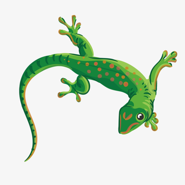 650x651 Vector Green Gecko, Animal, Green, Hand Painted Png And Vector For