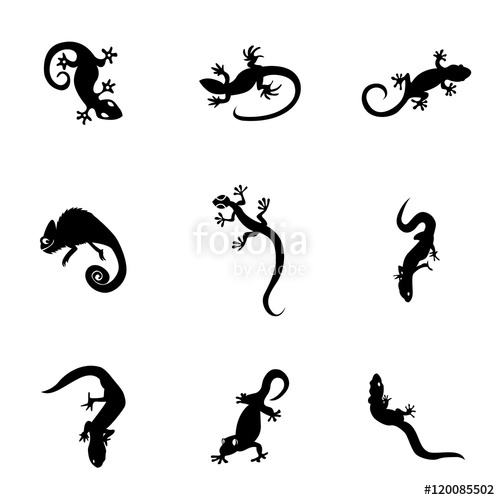 500x500 Gecko Vector Stock Image And Royalty Free Vector Files On Fotolia